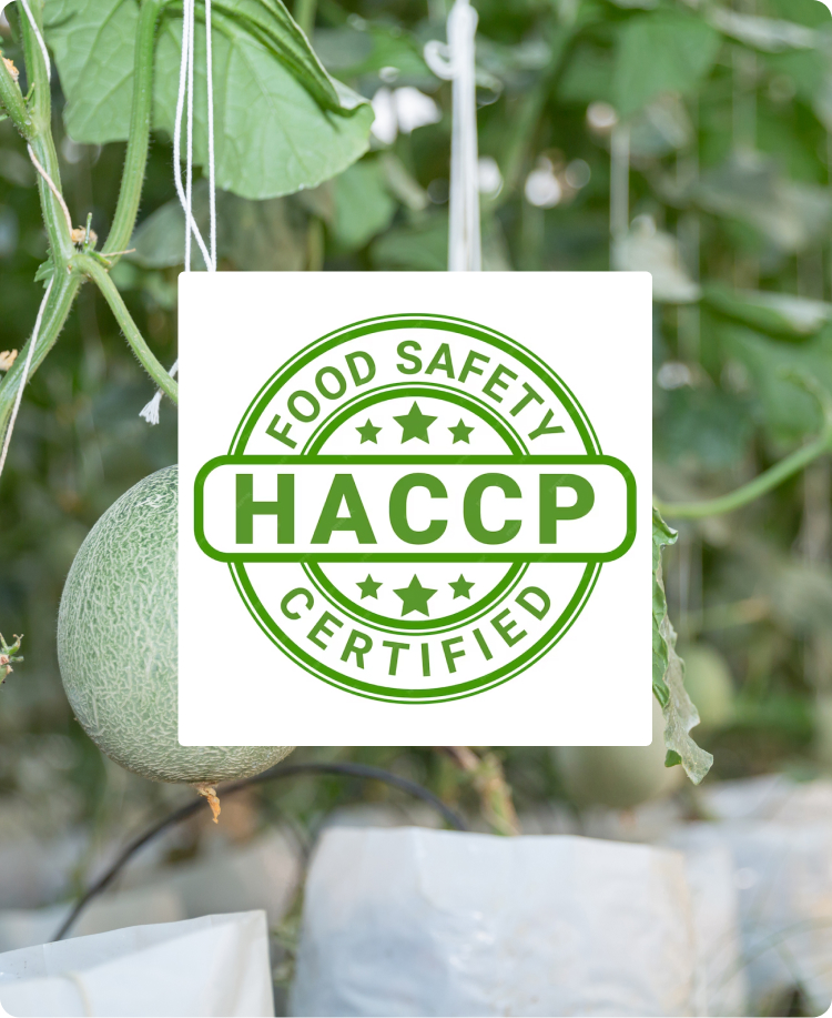 haccp